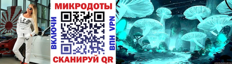 Псилоцибиновые грибы Psilocybe  Агрыз 